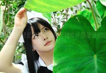 从生活到cos，白莉爱吃巧克力的蕾姆女仆图册好像啥都有啊！